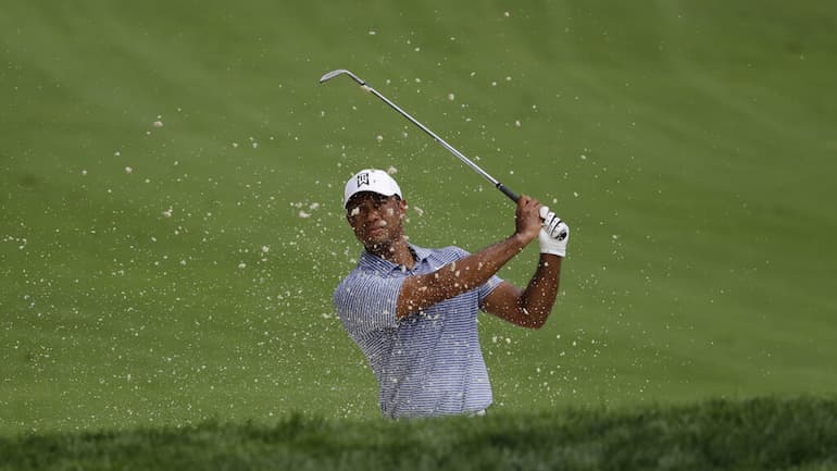 La sensazionale eleganza di Tiger!