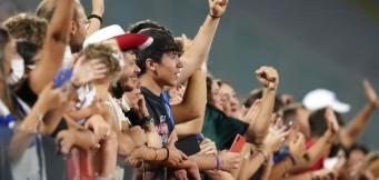 Una vetrata del Franchi